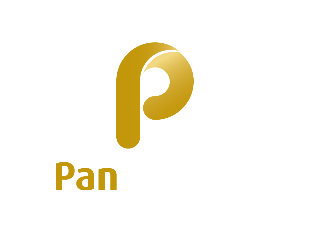 PanFinancial Logo